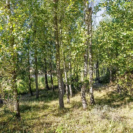 La Maison Fleurie - Sunny With Large Garden, Parking, Within Walking Distance Of The Sea 別荘 コクセッド