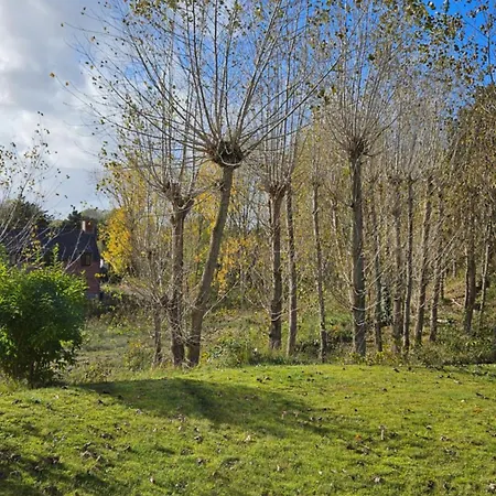 La Maison Fleurie - Sunny With Large Garden, Parking, Within Walking Distance Of The Sea