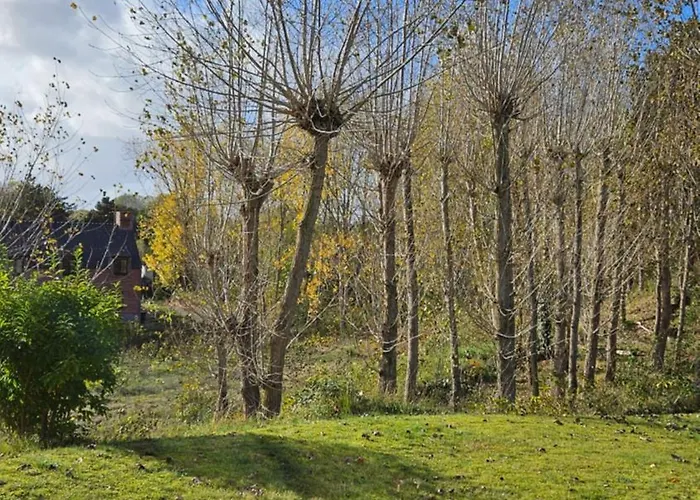 La Maison Fleurie - Sunny With Large Garden, Parking, Within Walking Distance Of The Sea