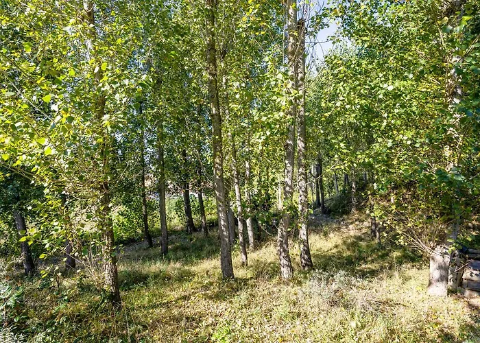 La Maison Fleurie - Sunny With Large Garden, Parking, Within Walking Distance Of The Sea Vakantiehuis *